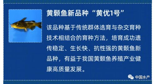 五項(xiàng)涉漁新材料技術(shù)入選2021中國(guó)農(nóng)業(yè)農(nóng)村重大新技術(shù)新產(chǎn)品新裝備